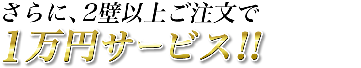 2壁以上ご注文で１万円サービス！！