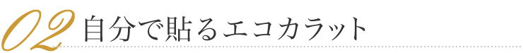 自分で貼るエコカラット