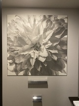 エコカラット施工写真1